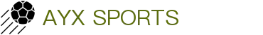 爱游戏体育 (中国)官方网站_AYX SPORTS